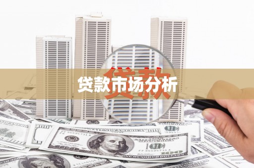 长白贷款市场分析