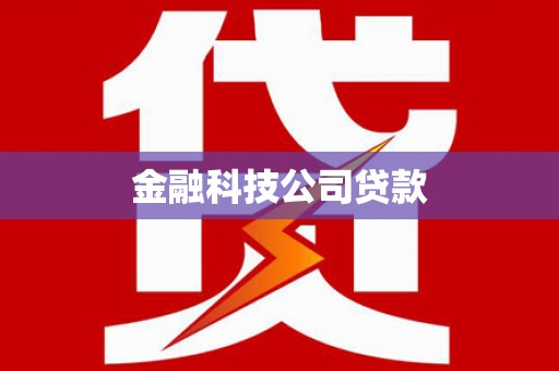 长白金融科技公司贷款