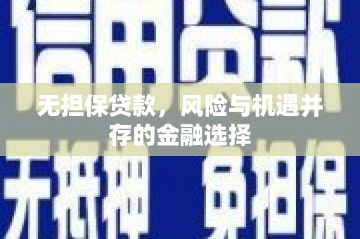 长白无担保贷款，风险与机遇并存的金融选择
