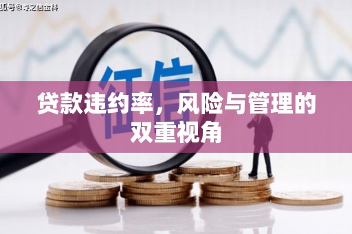 长白贷款违约率，风险与管理的双重视角