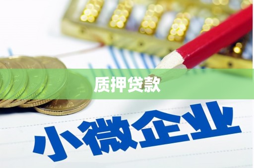 长白质押贷款