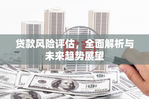 长白贷款风险评估，全面解析与未来趋势展望