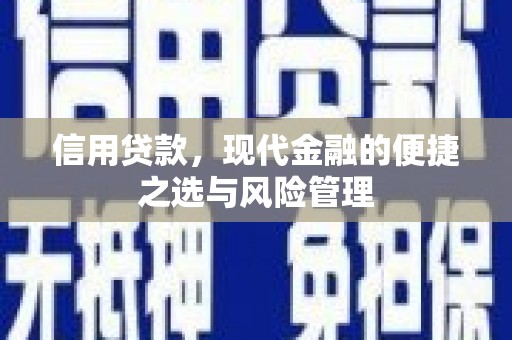长白信用贷款，现代金融的便捷之选与风险管理