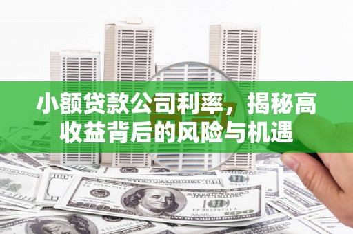 长白小额贷款公司利率，揭秘高收益背后的风险与机遇