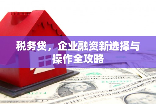 长白税务贷，企业融资新选择与操作全攻略