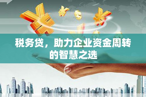 长白税务贷，助力企业资金周转的智慧之选