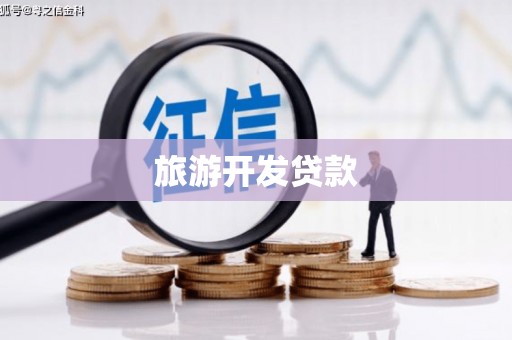 长白旅游开发贷款