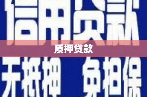 长白质押贷款