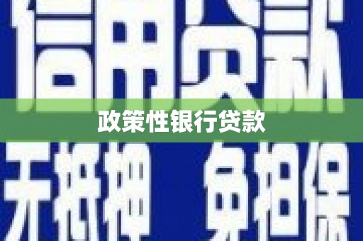 长白政策性银行贷款
