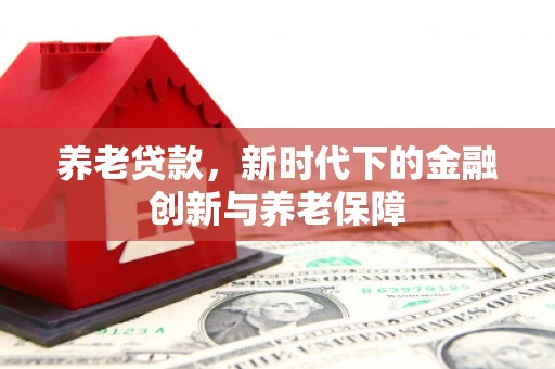 长白养老贷款，新时代下的金融创新与养老保障