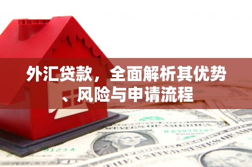 长白外汇贷款，全面解析其优势、风险与申请流程