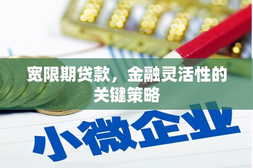 长白宽限期贷款，金融灵活性的关键策略