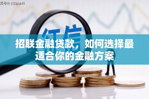 长白招联金融贷款，如何选择最适合你的金融方案
