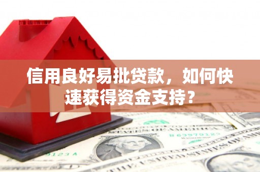 长白信用良好易批贷款，如何快速获得资金支持？