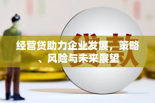 长白经营贷助力企业发展，策略、风险与未来展望