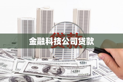 长白金融科技公司贷款