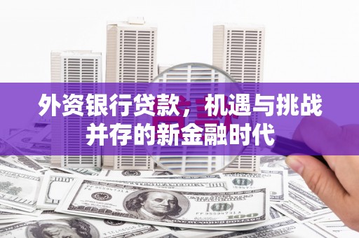 长白外资银行贷款，机遇与挑战并存的新金融时代