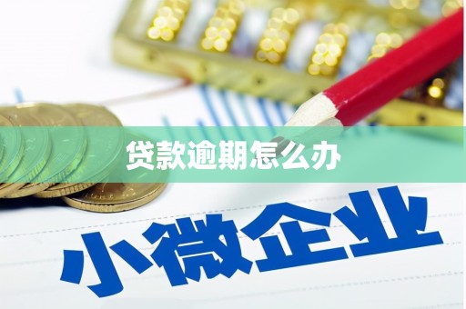 长白贷款逾期怎么办