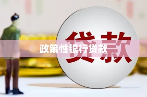 长白政策性银行贷款