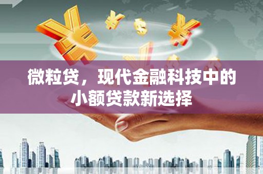 长白微粒贷，现代金融科技中的小额贷款新选择
