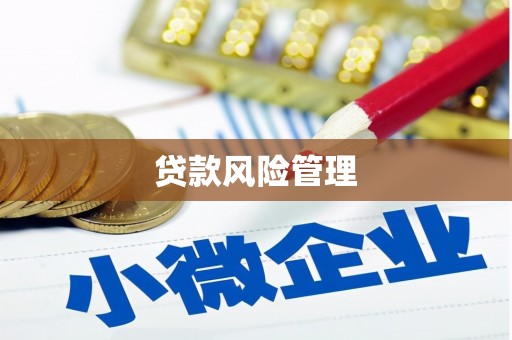 长白贷款风险管理