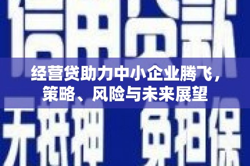 长白经营贷助力中小企业腾飞，策略、风险与未来展望
