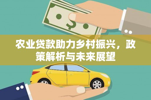 长白农业贷款助力乡村振兴，政策解析与未来展望