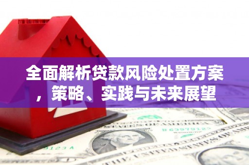 长白全面解析贷款风险处置方案，策略、实践与未来展望