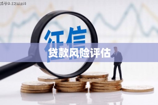 长白贷款风险评估
