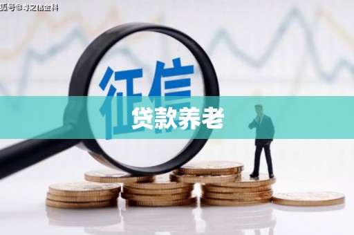 长白贷款养老
