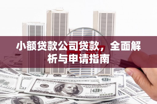 长白小额贷款公司贷款，全面解析与申请指南