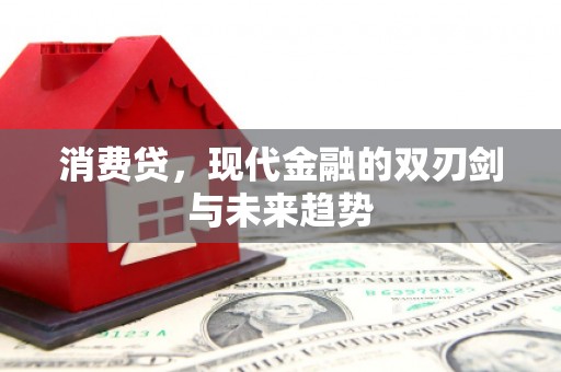 长白消费贷，现代金融的双刃剑与未来趋势