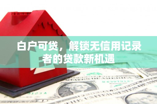 长白白户可贷，解锁无信用记录者的贷款新机遇