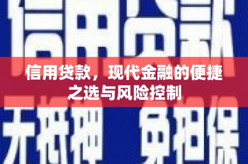 长白信用贷款，现代金融的便捷之选与风险控制