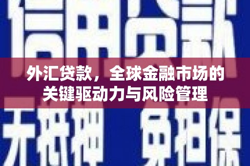 长白外汇贷款，全球金融市场的关键驱动力与风险管理