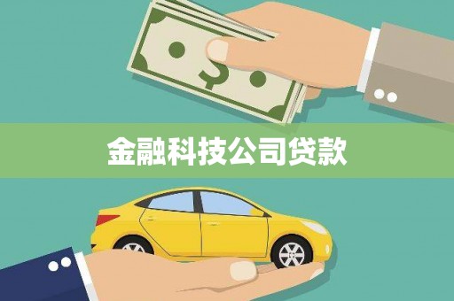 长白金融科技公司贷款