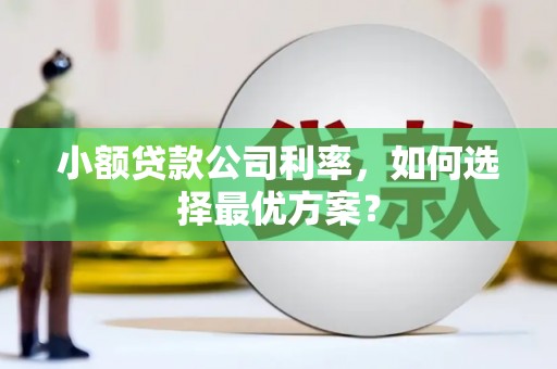 长白小额贷款公司利率，如何选择最优方案？