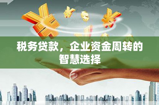 长白税务贷款，企业资金周转的智慧选择