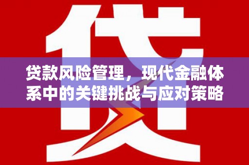 长白贷款风险管理，现代金融体系中的关键挑战与应对策略