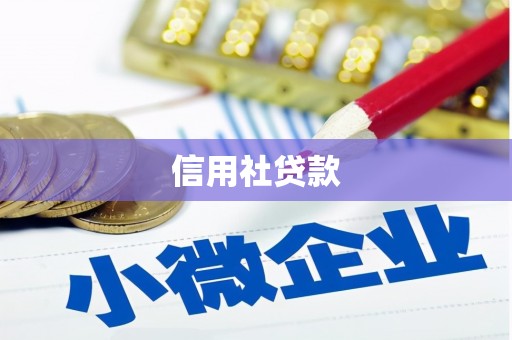 长白信用社贷款