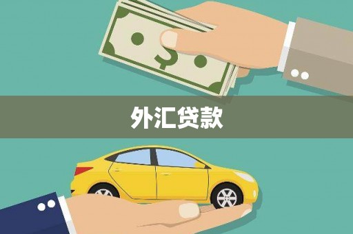 长白外汇贷款