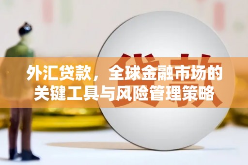 长白外汇贷款，全球金融市场的关键工具与风险管理策略