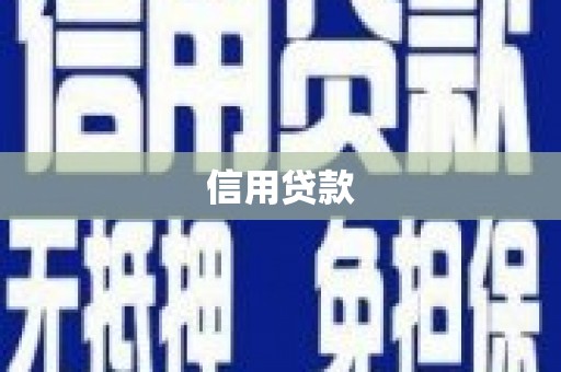 长白信用贷款