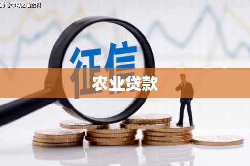 长白农业贷款
