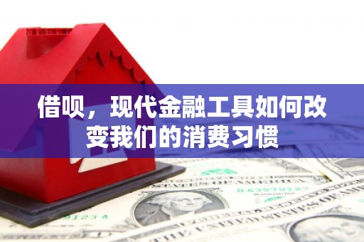 长白借呗，现代金融工具如何改变我们的消费习惯