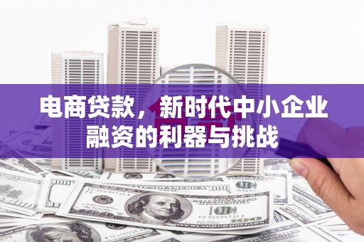 长白电商贷款，新时代中小企业融资的利器与挑战