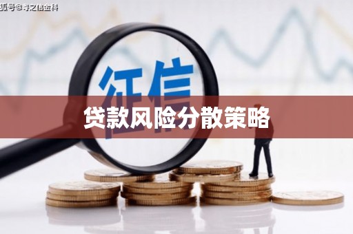 长白贷款风险分散策略
