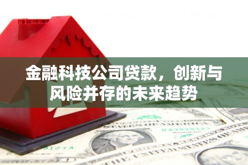 长白金融科技公司贷款，创新与风险并存的未来趋势