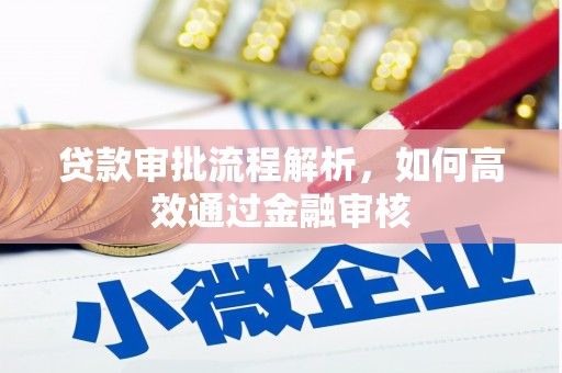 长白贷款审批流程解析，如何高效通过金融审核