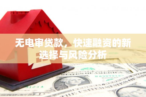 长白无电审贷款，快速融资的新选择与风险分析